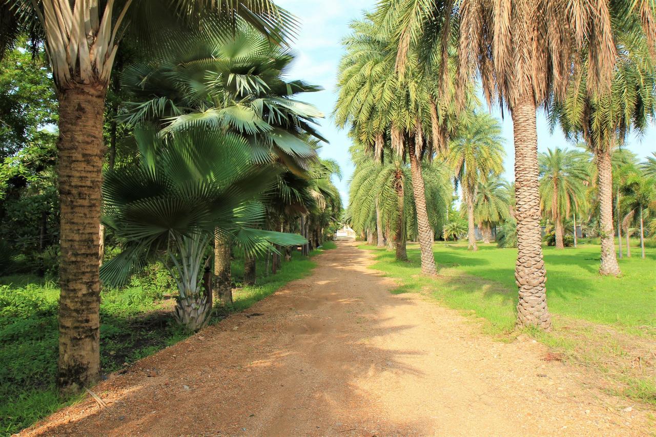 Lopburi Palm Resort Exterior foto