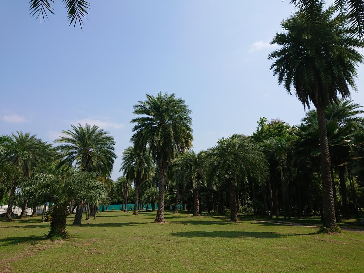 Lopburi Palm Resort Exterior foto